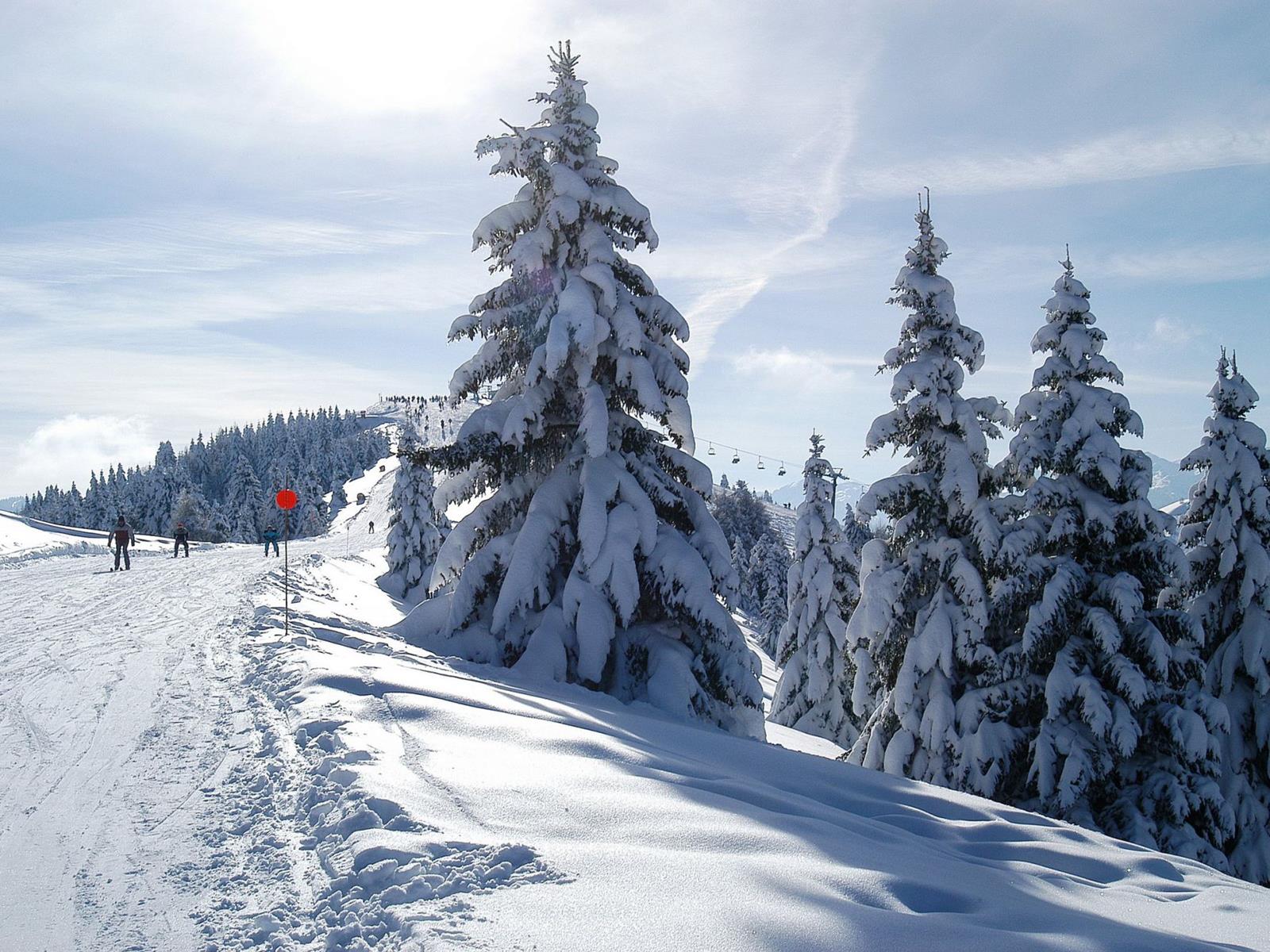 Hotel Sulle Piste Trentino A Folgaria Hotel Con Servizi Sci