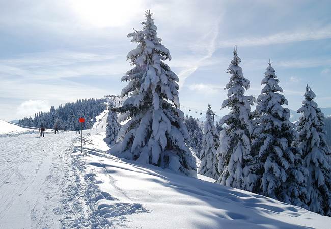 Wintersport