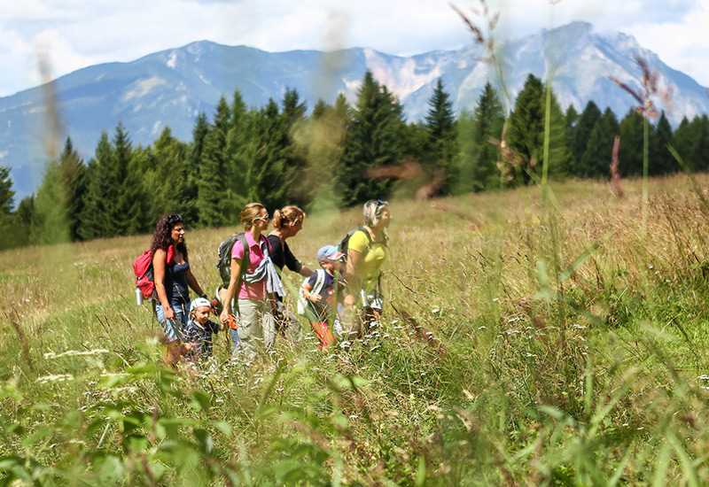 Passeggiate a Folgaria: il piacere di esplorare l’Alpe Cimbra con i bambini
